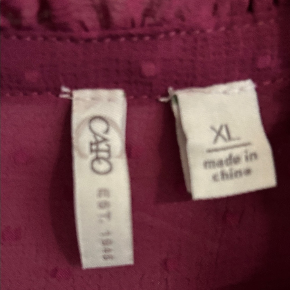 Chic Maroon Ruffle Blouse - image 2